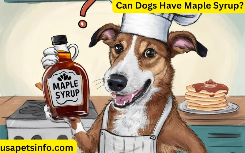 Can Dogs Have Maple Syrup? Its Some Benefits and Risks