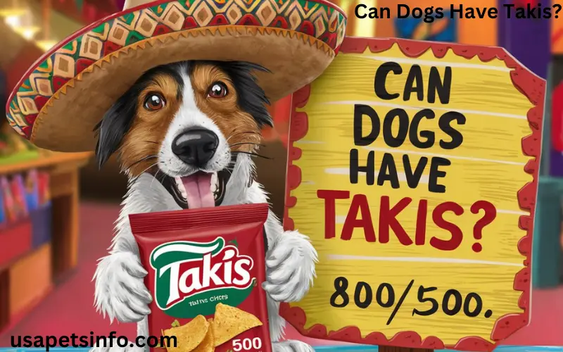 Can Dogs Have Takis?