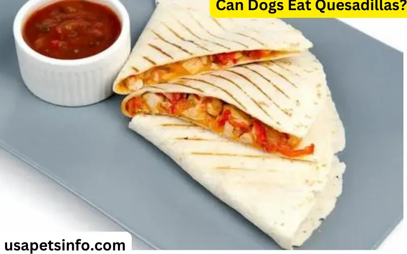 Can Dogs Eat Quesadillas?