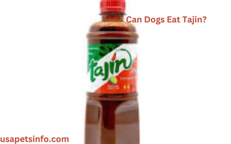 Can Dogs Eat Tajin?