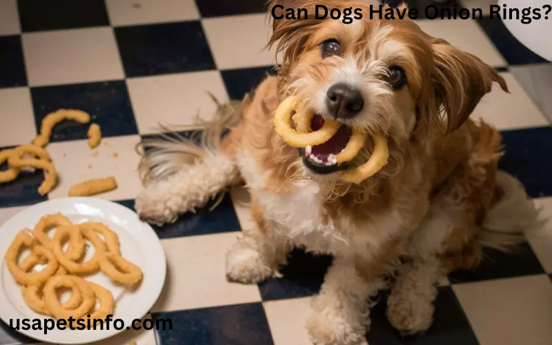 Can Dogs Have Onion Rings?