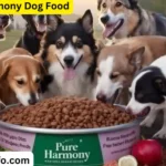 Pure Harmony Dog Food