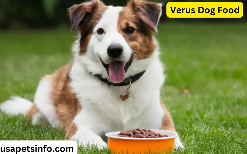 Verus Dog Food Review