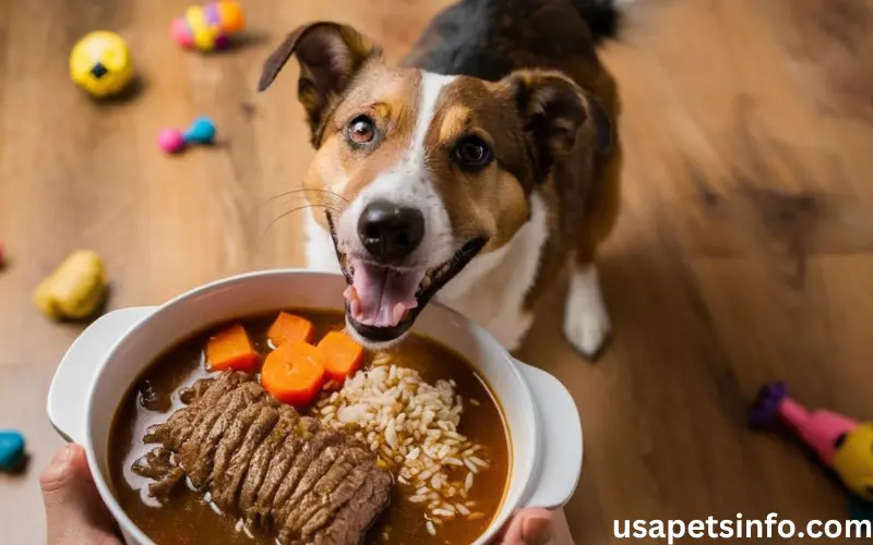 Can Dogs Eat Ground Beef?