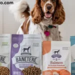 4 Best Dog Food for Cocker Spaniels?