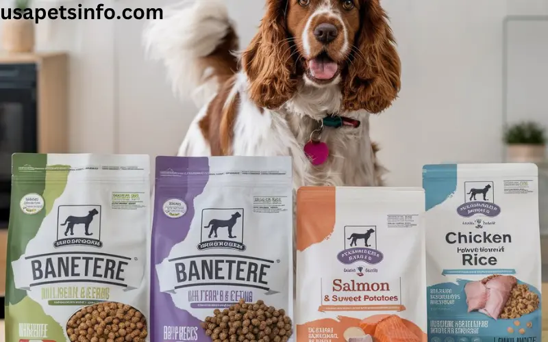 4 Best Dog Food for Cocker Spaniels?