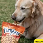 Can Dogs Eat Funyuns?