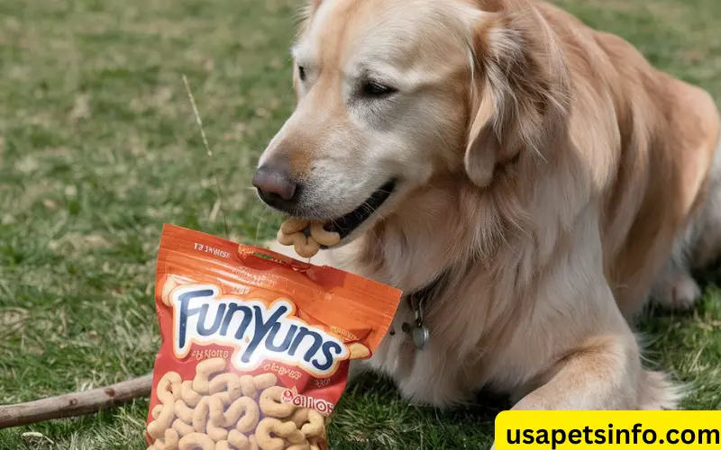 Can Dogs Eat Funyuns?