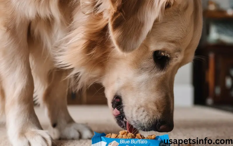 Can Dogs Eat Scooby Snacks? Is It Save For Dogs?