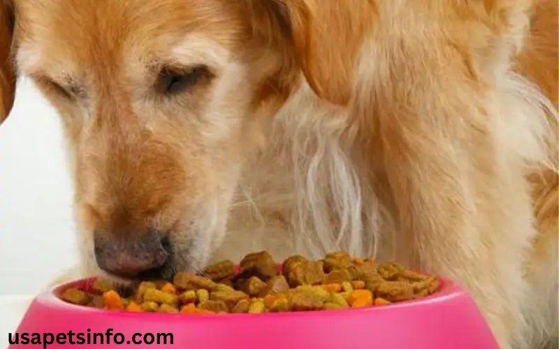 Infinia Dog Food Review