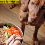 3 Best Dog Food for Vizslas